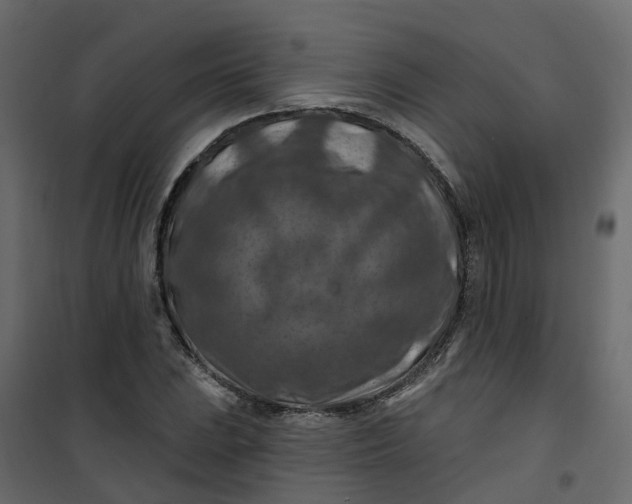 X0000101091023200807171842