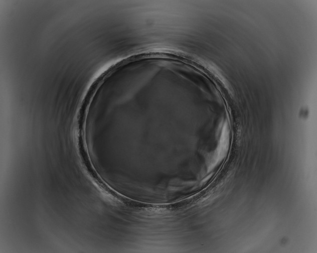 X0000101091024200807171842