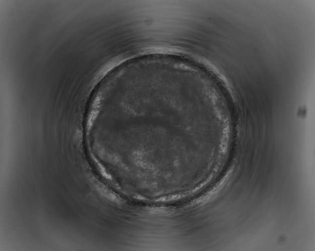 X0000101091025200807171842