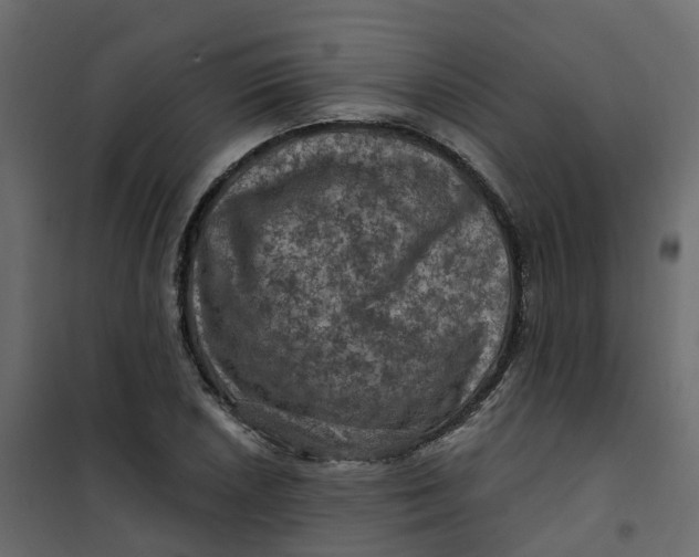 X0000101091026200807171842