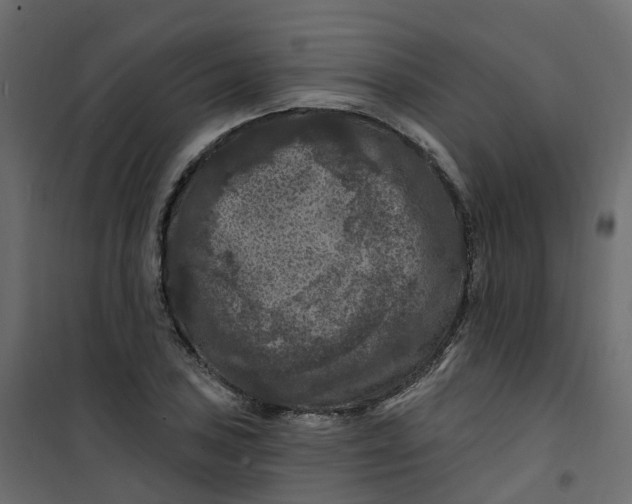 X0000101091027200807171842