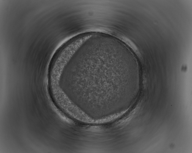 X0000101091028200807171842