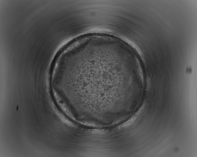 X0000101091029200807171842