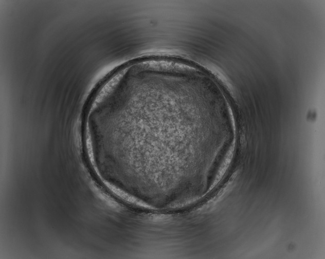 X0000101091030200807171842