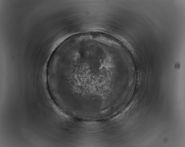 X0000101091031200807171842