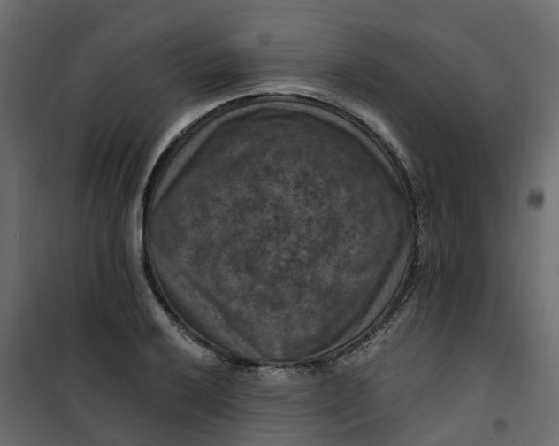 X0000101091032200807171842