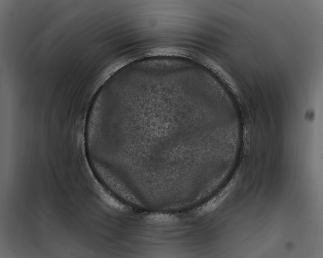 X0000101091033200807171843