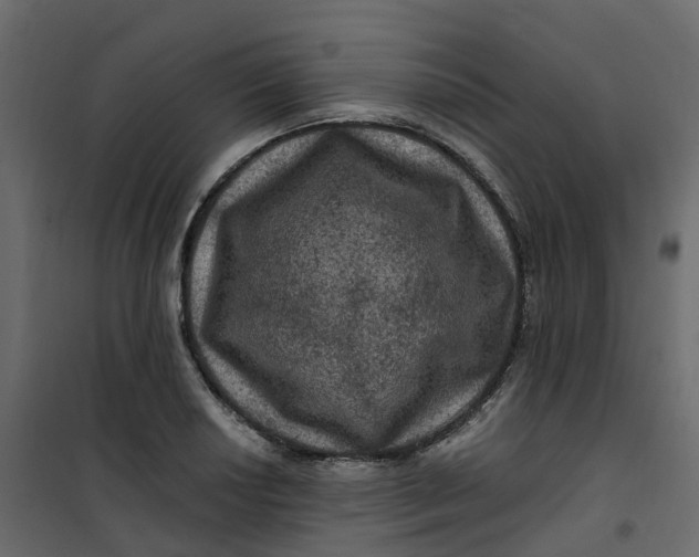 X0000101091034200807171843