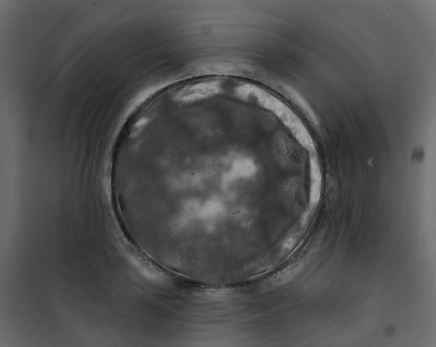 X0000101091035200807171843