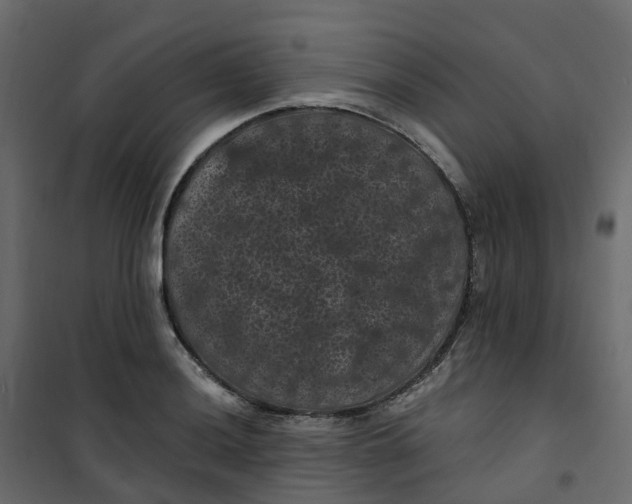 X0000101091036200807171843