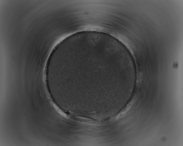 X0000101091037200807171843