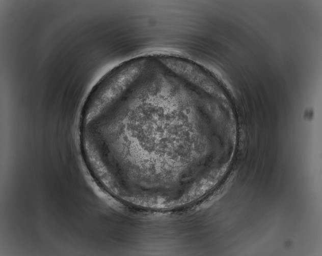 X0000101091038200807171843