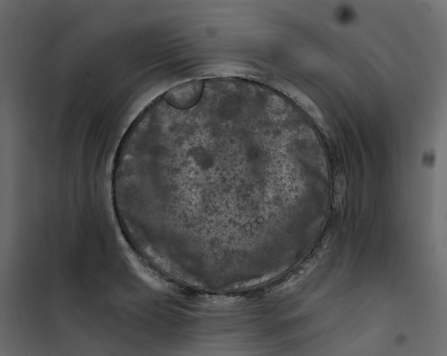 X0000101091039200807171843