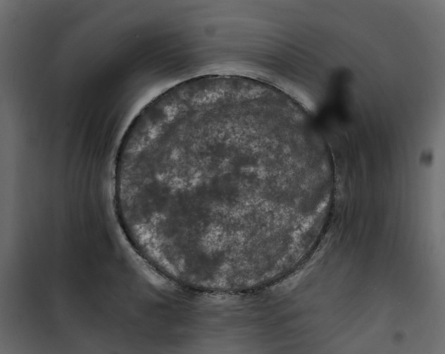 X0000101091040200807171843