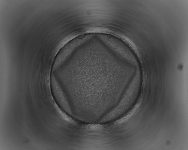 X0000101091041200807171843