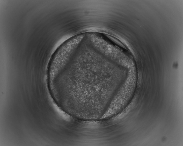 X0000101091042200807171843