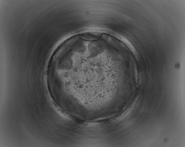 X0000101091043200807171843