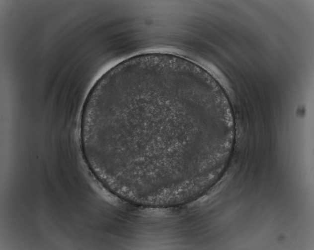 X0000101091044200807171843