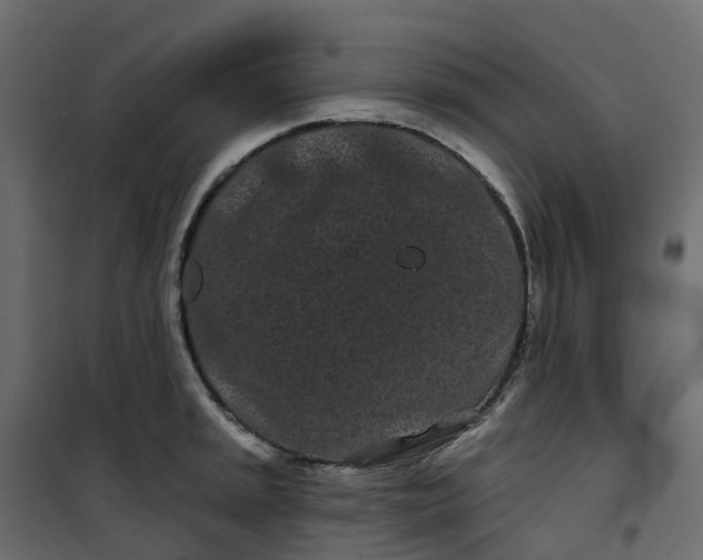 X0000101091045200807171843