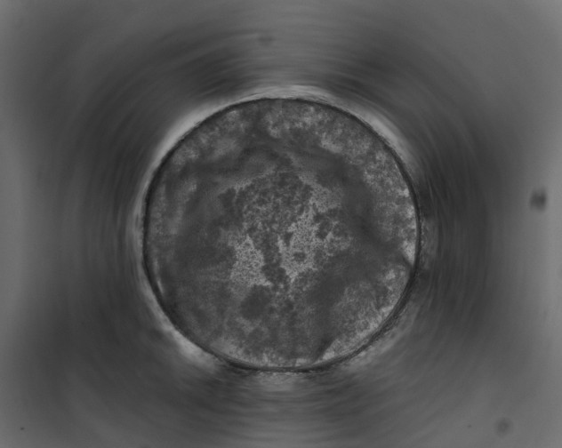 X0000101091046200807171843