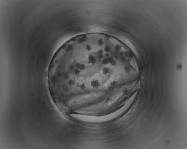 X0000101091047200807171843