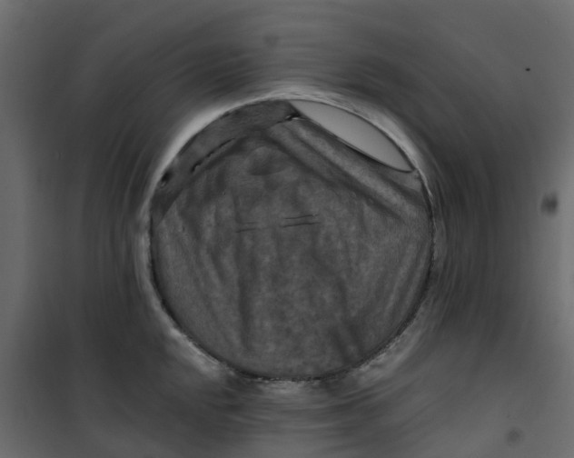 X0000101091048200807171843