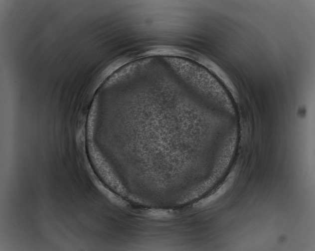 X0000101091049200807171843