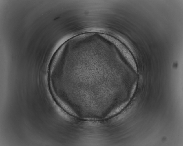 X0000101091050200807171843