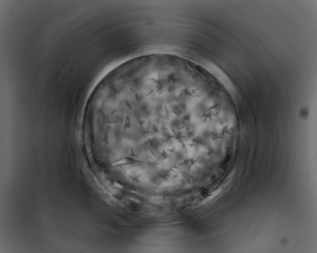 X0000101091052200807171843