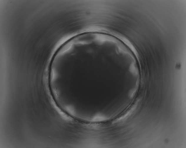 X0000101091053200807171843