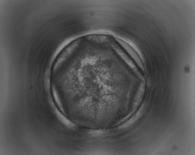 X0000101091054200807171843