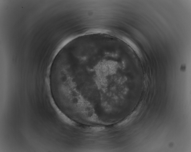 X0000101091055200807171843