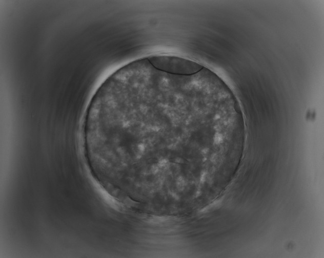 X0000101091056200807171843