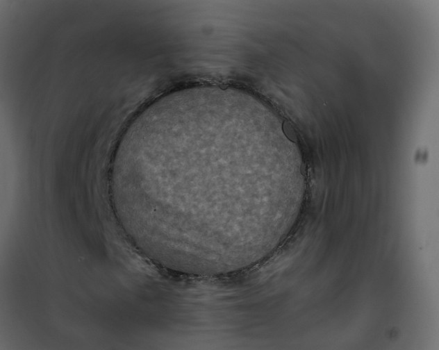 X0000101091057200807171842