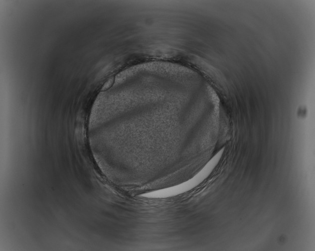 X0000101091058200807171842