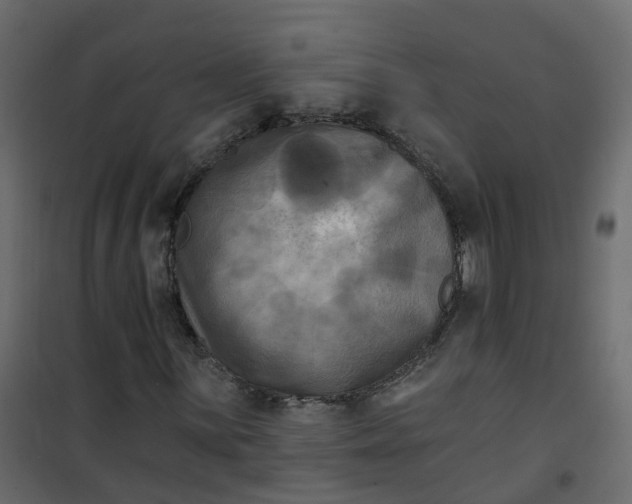 X0000101091059200807171842