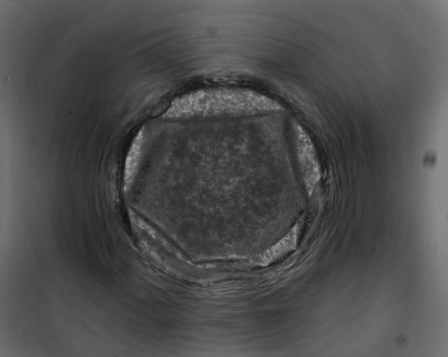 X0000101091060200807171842