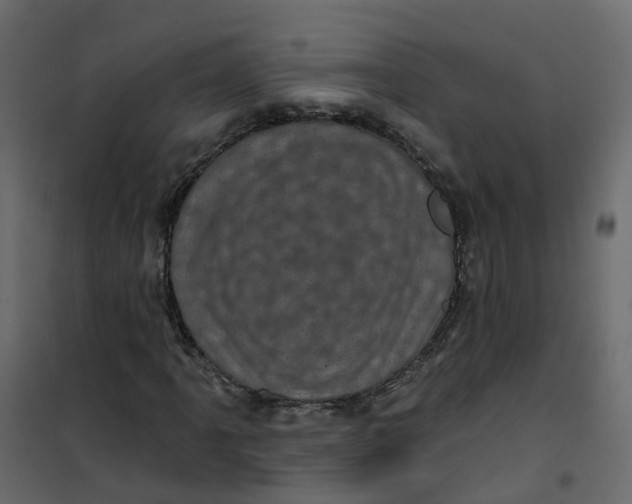 X0000101091061200807171842