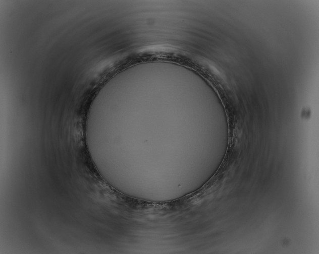 X0000101091062200807171842