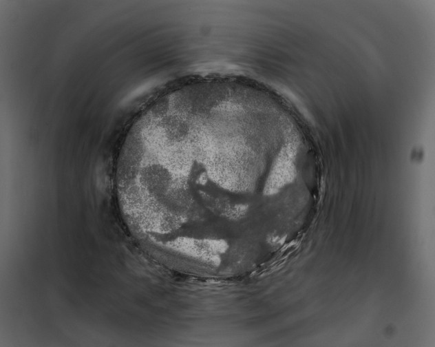 X0000101091063200807171842