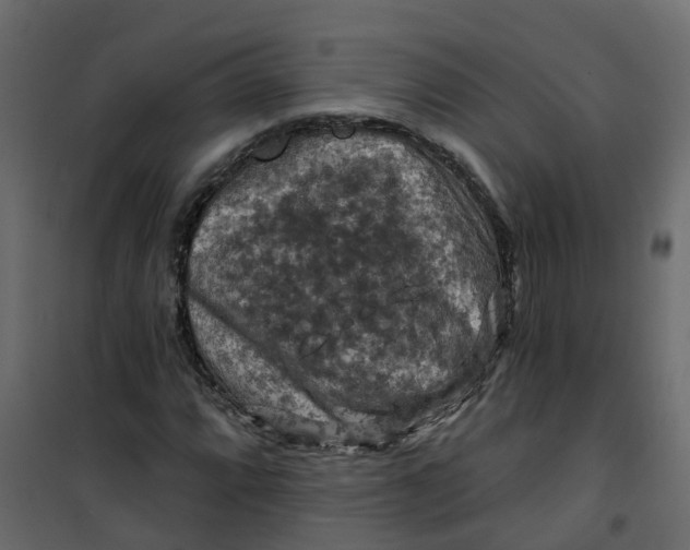 X0000101091064200807171842