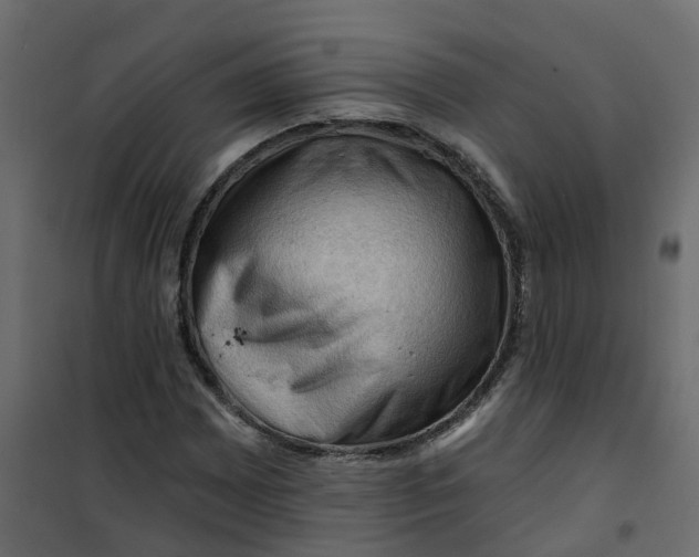 X0000101091065200807171842