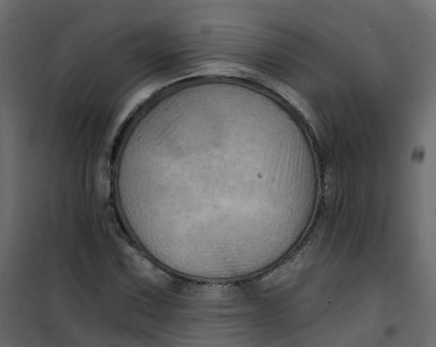 X0000101091067200807171842