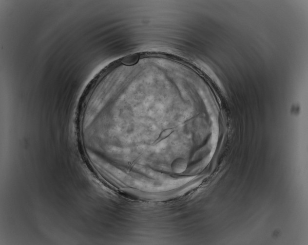 X0000101091068200807171842