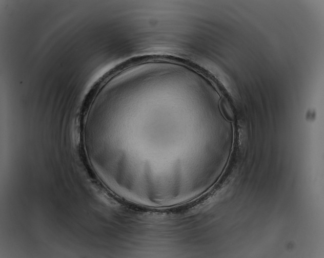 X0000101091069200807171842