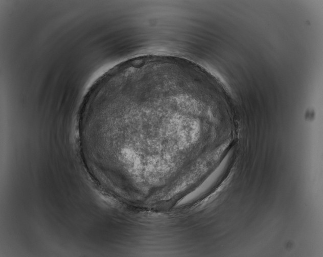 X0000101091070200807171842