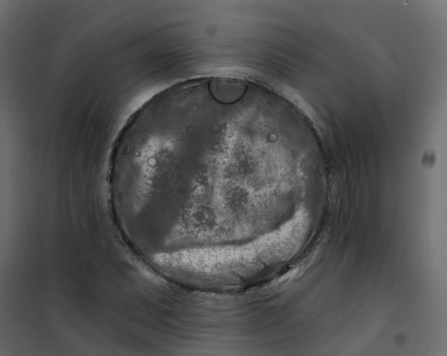 X0000101091071200807171842