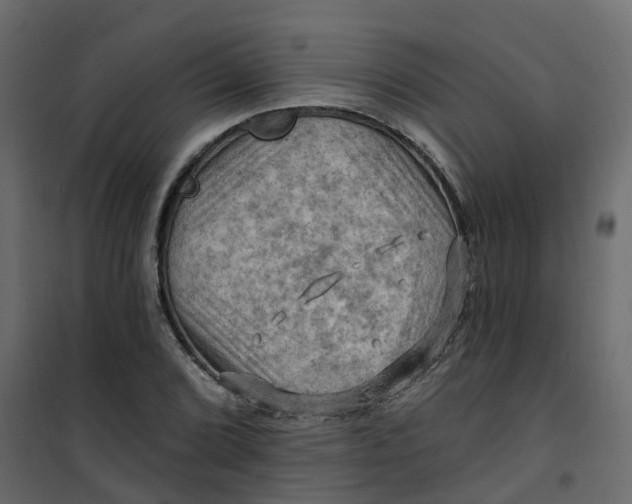 X0000101091072200807171842