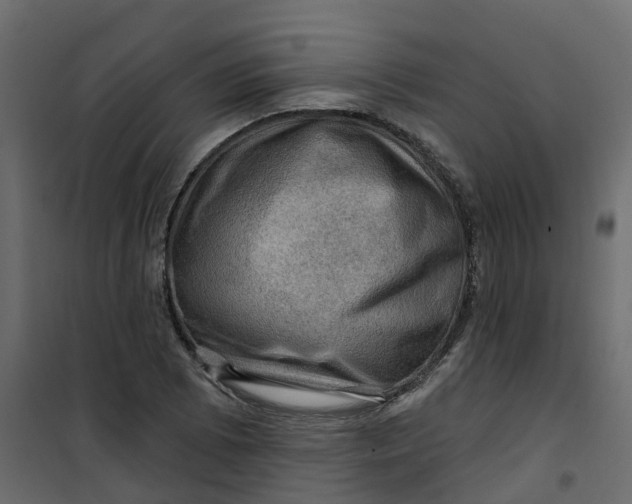 X0000101091073200807171842