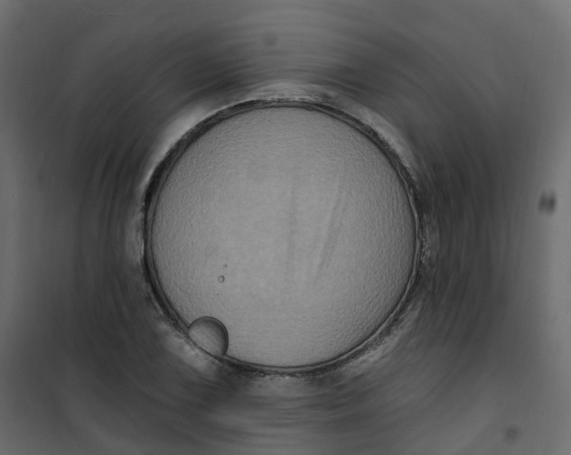 X0000101091075200807171842